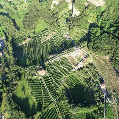 Thumbnail Führung und Weinprobe bei Cultivar delle Volte