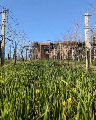 Thumbnail Nonno Tore Tour: Unterirdische Weinkeller &amp; Bio-Weinprobe in der Cantina Giacomo Simone