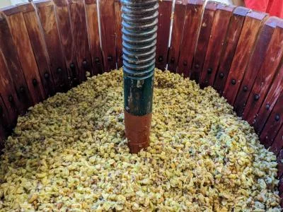 Thumbnail Tour di Nonno Tore: Cantine sotterranee e degustazione di vino biologico presso la Cantina Giacomo Simone