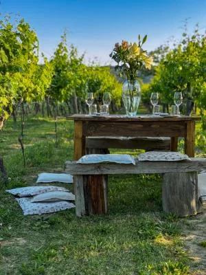 Thumbnail Dubrovnik : Private Malvasia Wine Experience à Konavle