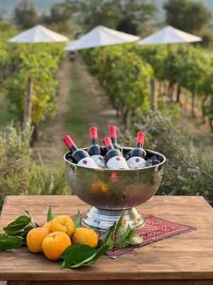 Thumbnail Dubrovnik: Esperienza privata con il vino Malvasia a Konavle