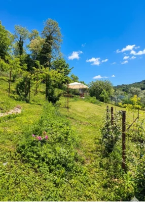 Thumbnail Wine Experience with 2 Glasses of Wine facing the Prosecco Hills in Cison di Valmarino