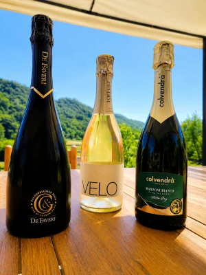 Thumbnail Wine experience con 2 copas de vino frente a las colinas de Prosecco en Cison di Valmarino