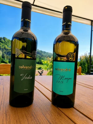 Thumbnail Prosecco, vino e viste panoramiche - Un'esperienza esclusiva in un giardino privato