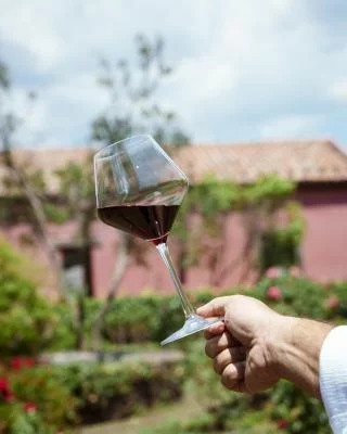 Thumbnail Etna Heritage & Innovation Wine Tasting at Terrazze dell'Etna