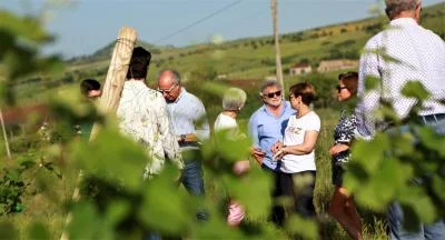 Thumbnail Tour e degustazione premium presso Tenuta San Giaime