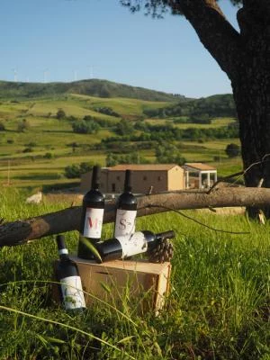 Thumbnail Visite et dégustation de vins de qualité supérieure à Tenuta San Giaime
