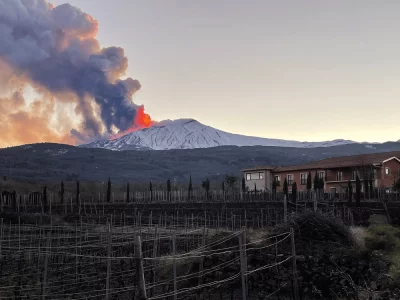 Thumbnail Vivera Winery - Les deux âmes de la Sicile : Etna & Corleone
