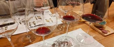 Thumbnail Wine tasting in Florence with a Sommelier