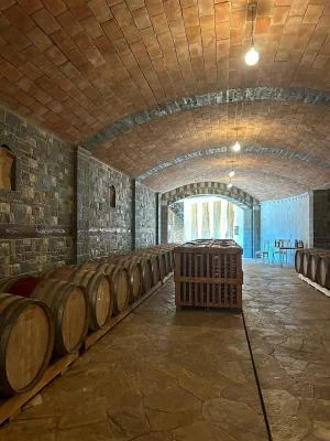 Thumbnail Découverte du vin dans une cave familiale près de Berat