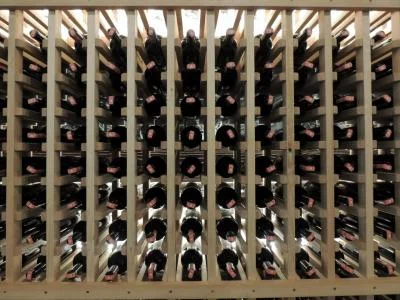 Thumbnail Descubre el vino en una bodega familiar cerca de Berat