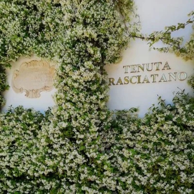 Immagine principale di Vigne di Rasciatano S. R. L.