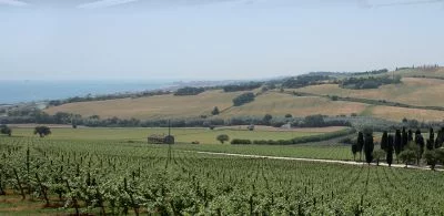 Zona paesaggisticamente stupenda. Ricca selezione di vini...