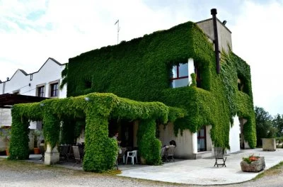 Very friendly people and very good wines! 