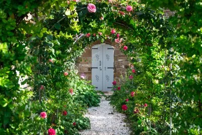 Immagine principale di FATTORIA DI MONTEMAGGIO (Chianti, Chianti Classico)