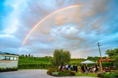 Hauptbild von Azienda Agricola Roccat (Valdobbiadene, Prosecco, Cartizze)