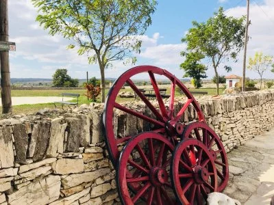 Main image of azienda agricola Mazzone