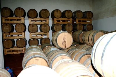 Immagine principale di Azienda Vinicola Mocavero Sas Di F. Mocavero & C.