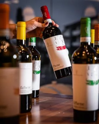Main image of FATTORIA TEATINA (Montepulciano d'Abruzzo)