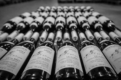 Immagine principale di Ca' del Baio - Az. Agr..