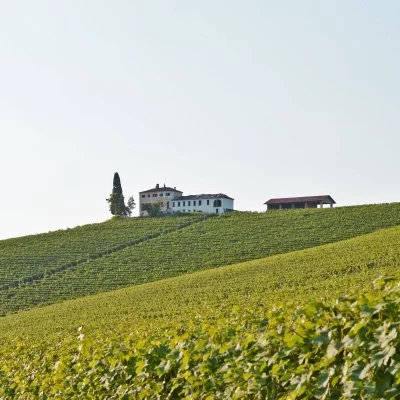 Imagen principal de Tenuta Carretta - Cantina