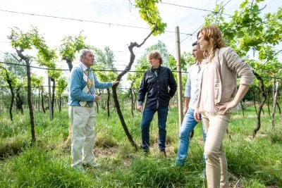 Immagine principale di T.E.S.S.A.R.I. (Soave)