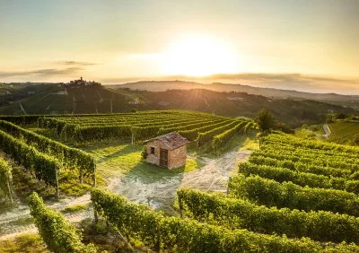 Main image of Az.Agricola Giovanni Rosso Di Rosso Davide (Langhe, Moscato d'Asti, Alta Langa, Barolo, Hills of Asti)