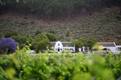 Rickety Bridge is a long established winery...