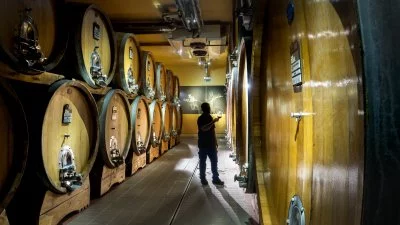 Vino Regolo con metodo 