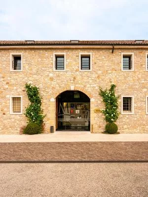 Fantastica cantina fantastico il vino e fantastica...