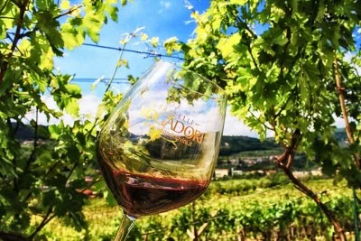 Imagen principal de Cantina Fratelli Vogadori - Amarone (Valpolicella, Amarone, Valpolicella Clásica)