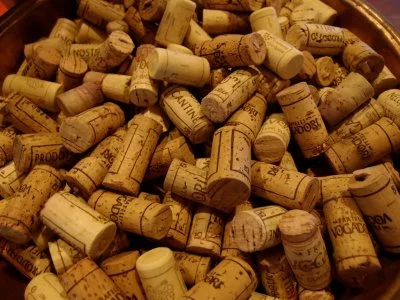 Immagine principale di Cantina Fratelli Vogadori - Amarone (Valpolicella, Amarone, Valpolicella Classica)