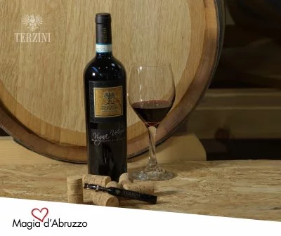 Hauptbild von CANTINA TERZINI SOCIETA' AGRICOLA SRL (Montepulciano d'Abruzzo, Maiella-Nationalpark)