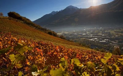 Bellissimi gli ambienti, molto curati. Ottima l'ospitalità...