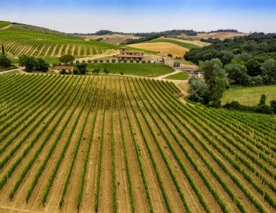 Imagen principal de Sassodisole (Montalcino, Val d'Orcia, Crete Senesi)