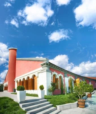 Beautiful vineyard, the tour is nice very...
