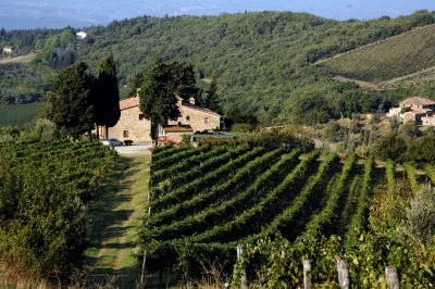 Main image of Tenute Squarcialupi (Chianti, Chianti Classico)