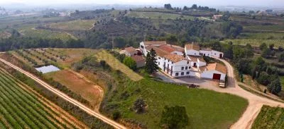 Main image of CELLER CAL COSTAS, S.L.U. Bodega  Miquel Jané (Penedès, Catalonia)
