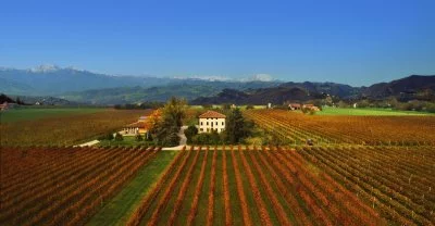 Immagine principale di Medici Ermete (Lambrusco, Food Valley)