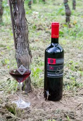 Immagine principale di Azienda Agricola Stanig