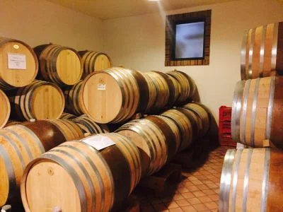 Imagen principal de Cantina Mauro Sebaste