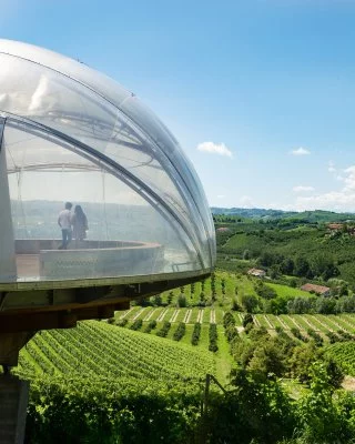 Immagine principale di Ceretto Aziende Vitivinicole (Langhe)