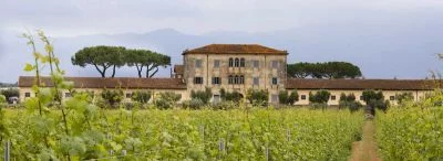 Immagine principale di Azienda Vinicola Casale del Giglio (Agro Pontino)