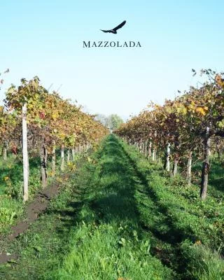 Immagine principale di Agricola Mazzolada S. R. L. - Azienda Vinicola (Prosecco)