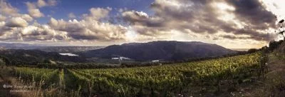 Immagine principale di Cantine Benvenuto