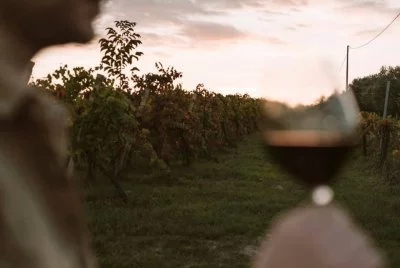 Hauptbild von Fattorie Ciabrelli