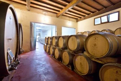 Main image of Tenuta di Trecciano (Chianti)
