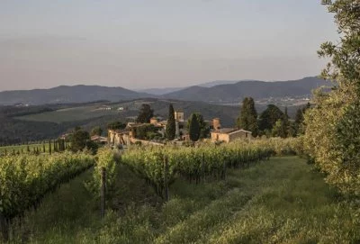 Bellissimo castello in mezzo ai vigneti del...
