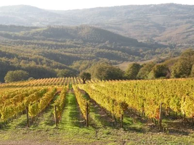 Hauptbild von Casavyc (Maremma)