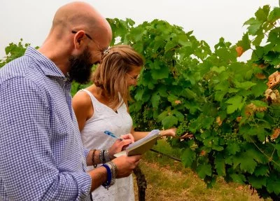 Main image of Vetrère (Salento, Terra delle Gravine)